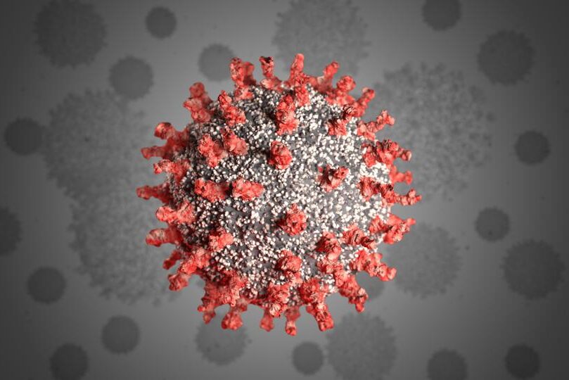 coronavirus